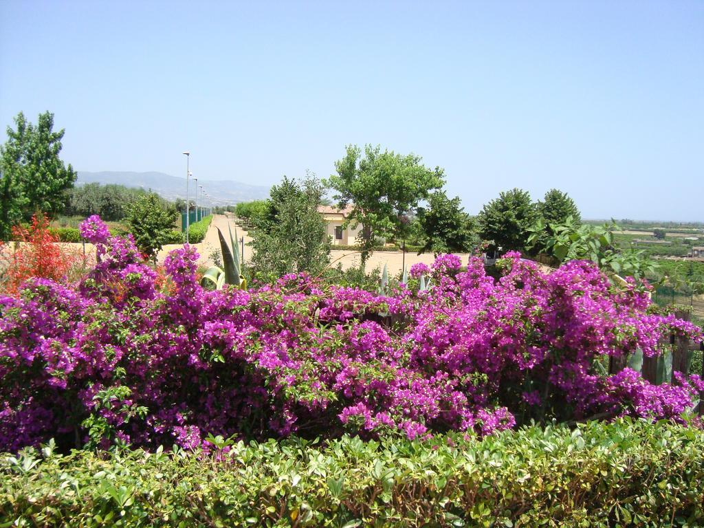 Tenuta Colle Degli Ulivi Сибари Екстериор снимка